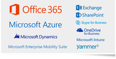 office365